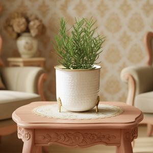 <b>Large</b> White Metal Flower Pot with Gold Plating Trim Durable Modern Minimalist Indoor/<b>Outdoor</b> Desktop <b>Planter</b> for Home Decor - Product Image 4