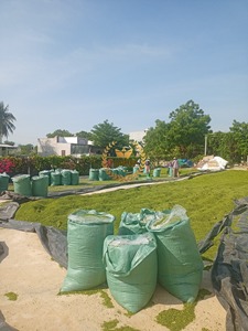 สาหร่ายสีเขียวหนาแน่นสารอาหารที่เหมาะสำหรับสัตว์เคี้ยวเอื้องอาหารสัตว์ปีกและสัตว์น้ำสาหร่ายสีเขียวออลวาสำหรับปุ๋ยที่มาจากเวียดนาม - Product Image 6