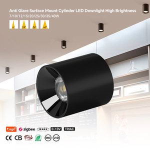 Faretto LED Cilindrico da 40W ad Alta Luminosità per Montaggio a Superficie, Certificazioni Complete CE EMC LVD per Progetti di Illuminazione Professionale per Interni - Product Image 1