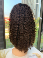 Prix de gros perruques bouclées cheveux bruts vietnamiens Double noyade 250 grammes toutes les couleurs 24 pouces HD Lace