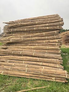 Varas de Ratán Duraderas con o sin Revestimiento, Bastones para Muebles de Exterior, Uso en Villas y Hogares, Color Natural, Tamaño Personalizable - Product Image 4