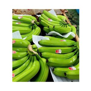 Banaanes Cavendish Fraîches de Sélection Optimale pour l'Exportation – Cartons de 13 kg - Product Image 1