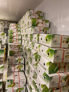 Coco Verde Entero FRESCO de Primera Calidad, con Cáscara, Orgánico, 800g 1000g, Calidad Vietnamita, Bebida Tropical Natural y Saludable - Product Image 5