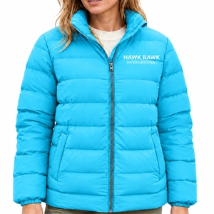 Blouson matelassé à capuche pour femme avec fermeture éclair frontale, panneaux matelassés horizontaux de couleur premium, respirant, fin, pour l'hiver, l'extérieur et le quotidien - Product Image 1