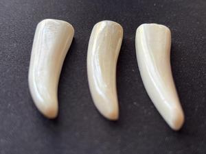 Colgantes de Hueso Natural Tallados a Mano, Amuletos de Cuerno de Búfalo para Fabricación de Joyas, Componentes de Collar Tribal Boho al por Mayor - Product Image 3