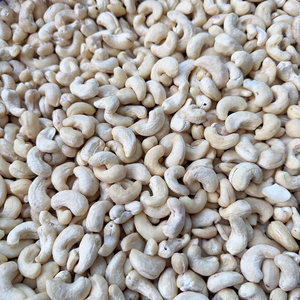 Fabrication de noix de cajou W180, noix de cajou Santigo, prix des noix de cajou du Vietnam, exportation en gros vers l'Asie, l'UE, le Moyen-Orient - Product Image 1