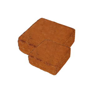 ผลิตภัณฑ์ชั้นนำ EC ต่ำ 5 กก. ต่อบล็อก ช่วยให้รากเจริญเติบโตอย่างมีสุขภาพดี สำหรับการเพาะต้นกล้า 95 5 โคโคพีท ตลาดเกาหลี ญี่ปุ่น ส่งออกสู่ตลาด EU - Product Image 1