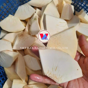 PORCIONES DE FRUTA DE PAN FROZEN ORGÁNICA: SUMINISTRO ESTABLE CON PRECIO COMPETITIVO - Product Image 6