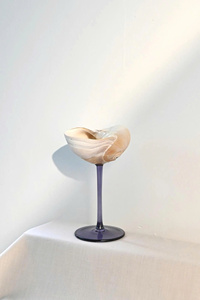 2026 Best Price Seashell Wine Glasses Seahell Wine Glass Seashell Glasses Seashell Glass Kitchen <b>Accessories</b> <b>Drinkware</b> Shell Sup - Product Image 4