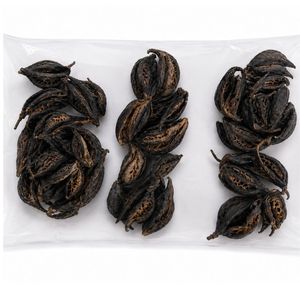 AQUA VRIKSHA Garra de Tigre Seca Natural para Acuarios, Peceras de Betta, Peceras de Camarones y Acuapaisajismo |   Paquete de 24 - Product Image 1