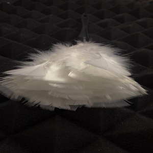 Plumeau en Plumes d'Autruche Premium – Outil de Nettoyage Sûr et Brosse Douce pour l'Élimination de la Poussière, Idéal pour la Maison, le Bureau et la Protection des Équipements - Product Image 3