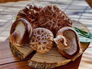 Hongos Shiitake Secos y Blanqueados Silvestres VIETDELTA Premium, Naturales, Saludables y Comestibles, 1 kg, Venta al por Mayor, Proveedor OEM ODM, 2 Años de Duración - Product Image 1