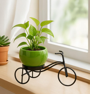Maceta Decorativa Dorada para Plantas de Jardín, Moderna, con Soporte, para Balcón - Product Image 2