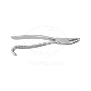 Forceps d'extraction dentaire équine Wolf Tooth en acier inoxydable, 12 pouces, outil d'extraction dentaire vétérinaire pour chevaux - Product Image 2