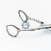 Pinces chirurgicales Collins pour la manipulation de la langue, 6,5 pouces, mâchoires larges 20 mm, en acier inoxydable, instruments de maintien