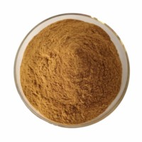 Premium Aguaje Poeder Voedingskwaliteit Aguaje Fruitpoeder Puur & Natuurlijk Mauritia flexuosa Poeder voor Smoothies & Functionele Voedingsmiddelen