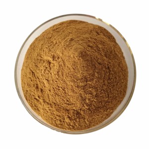 Poudre d'Aguaje de qualité supérieure, qualité alimentaire, pure et naturelle, issue de Mauritia flexuosa, pour smoothies et aliments fonctionnels - Product Image 2
