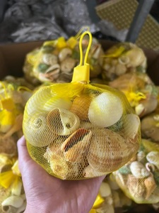 [DISPONIBLE] |   Petites coquilles de crabe ermite jaunes, blanches, vertes, argentées pour la décoration intérieure, fournitures en gros du Vietnam - Product Image 2