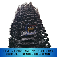 Nuevo Clip para el Cabello 2025, Juego de 4 Piezas, 100gr, Cabello Lacio Indonesio, Extensiones de Cabello Humano Virgen Remy 100%, Longitud de 8"-32"
