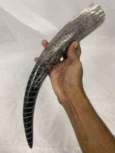 Cornes de buffle de qualité supérieure 100% sculptées pour cadeaux d'affaires, cornes de buffle artisanales d'Inde à vendre en gros - Product Image 2