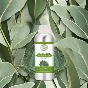 Huile essentielle d'eucalyptus globulus pur pour la vente en gros de qualité thérapeutique distillée à la vapeur naturelle 100% - Product Image 3