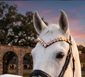 รุ่น Crystal Horse Model 7860B สายคาดศีรษะหนังบุนวมอย่างดี ปรับแต่งได้ สายคาดศีรษะโค้งมน ออกแบบโลโก้ได้ตามต้องการ ประดับคริสตัลวิบวับ - Product Image 5