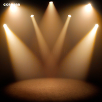 Projecteur LED Par Zoom extérieur robuste 300W IP65 avec contrôle DMX512, angle de zoom 16,5-62°, blanc chaud pour éclairage de scène professionnel