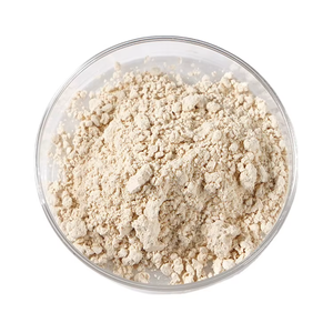 Polvo de Semillas de Cáñamo OEM 100% Puro y Natural, Molido en Frío, Rico en Proteínas, Fibra y Ácidos Grasos Omega de la India - Product Image 4