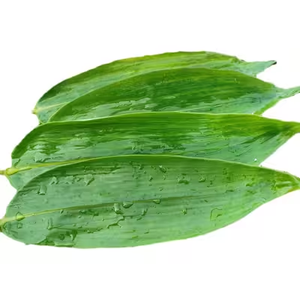Proveedor Mayorista de Hojas de Bambú Frescas Premium de Vietnam para Envoltura y Empaque de Alimentos Tradicionales - Sra. Grace - Product Image 1