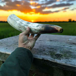 Shofar artesanal premium de cuerno de toro auténtico, instrumento de estilo clásico a precio económico. - Product Image 2