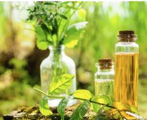 Aceite Esencial de Hojas de Moringa 100% Orgánico Prensado en Frío de Alta Calidad, Puro para Uso Cosmético, Revitalizador e Hidratante para la Piel, Semillas Tamil - Product Image 4