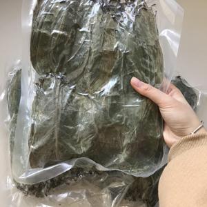 Dried Soursop Leaves Bulk Loose Leaf Organic Non Sugar 100% Black <b>Tea</b> in Plastic Bag for Dry Storage - Product Image 4