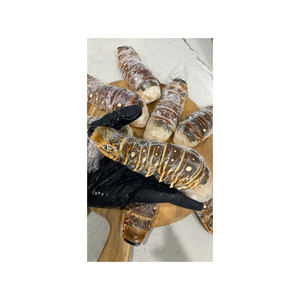 หางกุ้งล็อบสเตอร์แช่แข็งขายส่ง ราคาถูก จัดส่งจำนวนมาก หางกุ้งล็อบสเตอร์สดแช่แข็ง - Product Image 2