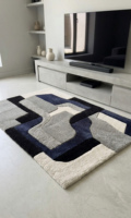 Tapis modernes à poils longs tuftés à la main, design abstrait pour salon, extra épais, adaptés aux animaux domestiques et écologiques, doux et durables