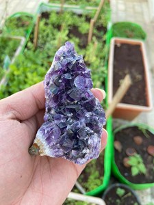 Deep Purple Amethyst Druzy <b>Cluster</b> | Natural Quartz <b>Crystal</b> Geode | Polished | Feng Shui Mineral Display Decor & Gift Rajasthan - Product Image 1