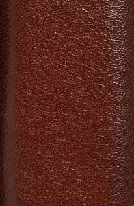 Cinturones de Cuero Genuino Marrón de Última Moda de Pakistán para Hombre, Cinturón Casual de Alta Calidad, Cinturón Masculino de Cuero Real de Lujo, Servicio OEM - Product Image 5