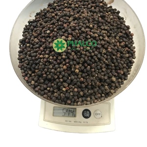 พริกไทยดำเวียดนามขายดี คุณภาพสูง เครื่องเทศรสเข้มข้น อบแห้ง ราคาส่ง - Product Image 4