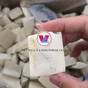 กระดูกปลาหมึกขาวพรีเมียมแบบทั้งตัว/ชิ้น ขนาด 4-5 ซม. สำหรับอาหารสัตว์ แคลเซียมสูง ผลิตในเวียดนาม จำหน่ายทั่วโลก - Product Image 3