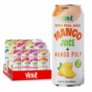 Zumo de fruta de 490ml con variedad de pulpa con sabor, sin azúcar, OEM/ODM disponible, Etiqueta Privada, precio mayorista - Product Image 1