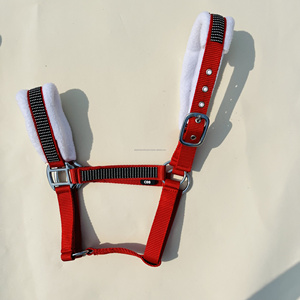 Halter rembourré en molleton de cheval en nylon très confortable avec strass fabriqué en Inde offert à un prix très raisonnable - Product Image 2