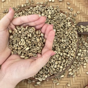 Premium Robusta Coffee <b>Beans</b> for Roasting Natural Process Green Coffee <b>Beans</b> Size 18 Clean Vietnam Highland Farm Direct Source - Product Image 3