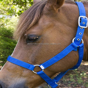 Sangle en nylon épais coloré licou de cheval en nylon confortable dans de nombreuses couleurs tailles personnalisées et matériel de fer réglable - Product Image 6
