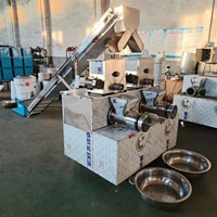 Machine à pâtes automatique haute efficacité Dezoton 80 kg/h pour la fabrication de nouilles, macaronis et spaghetti, extrudeuse à pâtes