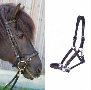 Licol de luxe en nylon pour cheval – Meilleur prix – Modèle international 7860H – Design personnalisable – Accessoire d'équitation durable - Product Image 1