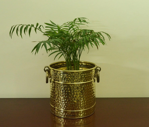 Pot de fleurs en laiton doré martelé, pot de plantes décoratif en métal pour l'intérieur, l'extérieur, la maison, le jardin, le bureau, la table et le style moderne - Product Image 2