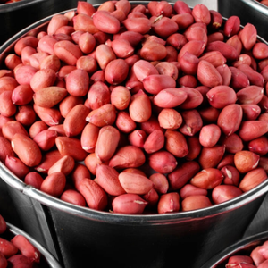 เมล็ดถั่วลิสงดิบธรรมชาติ คุณภาพส่งออก จำหน่ายจำนวนมาก จัดส่งรวดเร็ว - Product Image 2