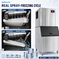 Machine à glaçons carrés 250 kg, refroidie par air ou eau, 30 mm, glace solide parfaite pour bars, hôtels, restaurants et cafés