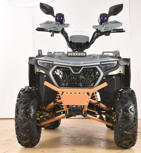 APAKANI 125cc-200cc 4x2 VTT tout-terrain Moto UTV Quad agricole avec transmission automatique à chaîne - Product Image 3