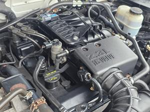 Ford Ranger 2009 - Vente en gros de voitures d'occasion - Product Image 4