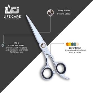 Ensemble de ciseaux de coiffure professionnels avec étui de rangement, ciseaux de coiffure et de dégradage couleur argent, rasoir et peigne. - Product Image 4